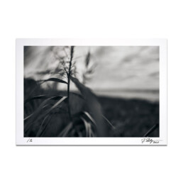 Fine Art Foto Print, A4, Limited Edition, Thema: Landschaft: Meer