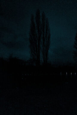 Fotografie, Thema: Stadt: Bäume als Silhouetten bei Nacht